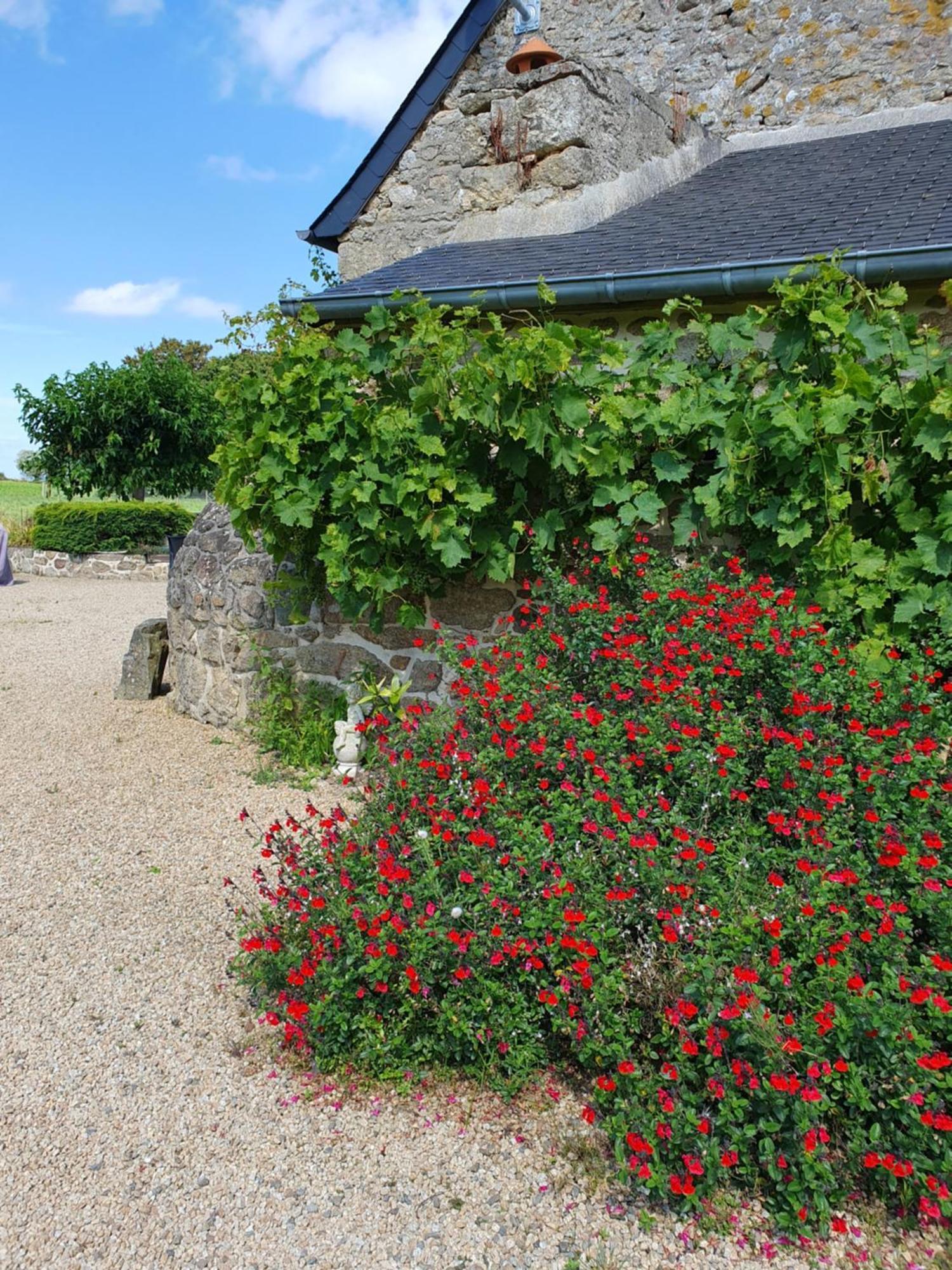 Vila Le Domaine De La Petite Chevre Ploumagoar Exteriér fotografie